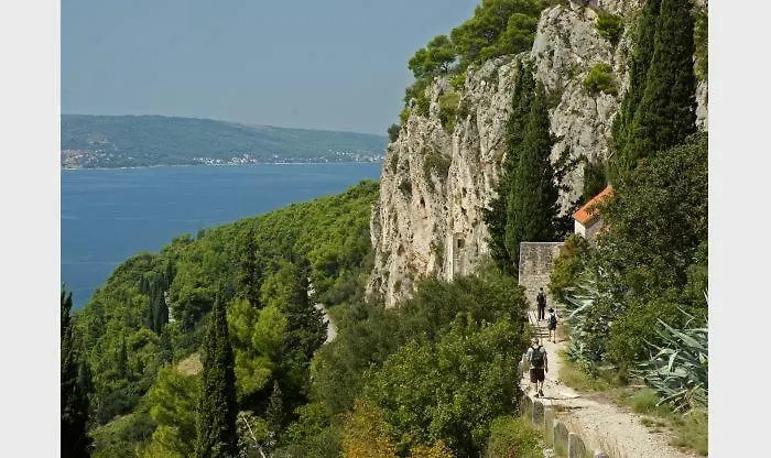 Old Town Tone * سبليت